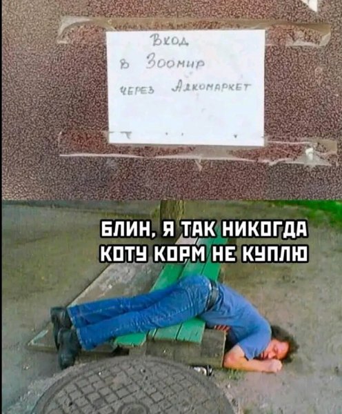 file_103303746