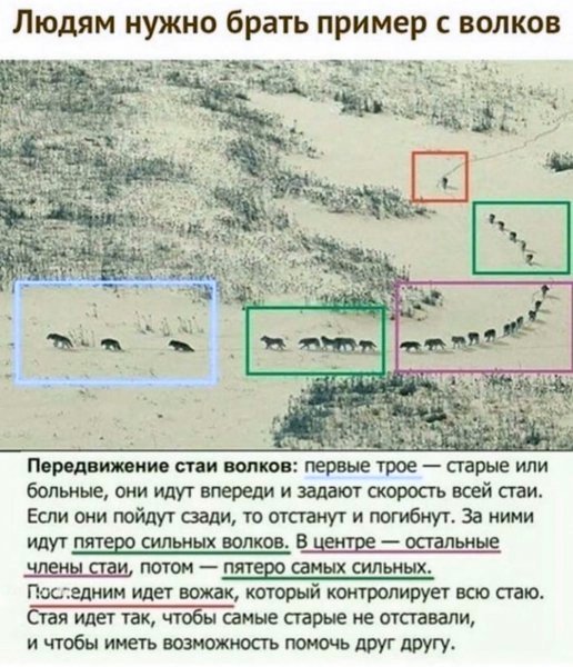 Нужно!-picsay