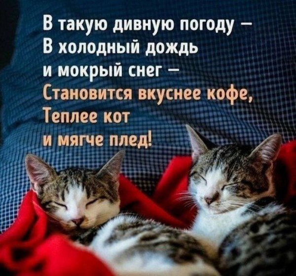 file_95105357