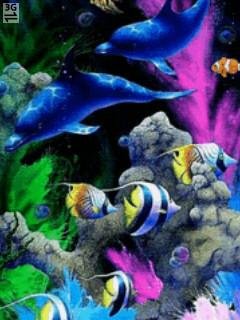 Aquarium delfin