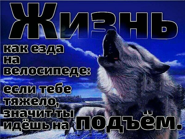 Жизнь