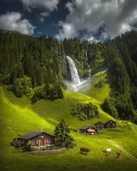 file_96997965
