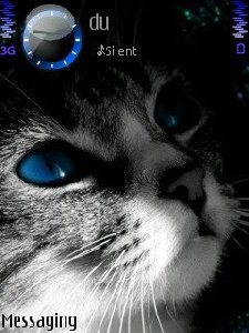 Kitty