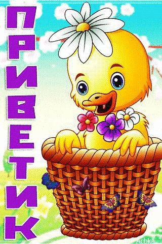 file_81816390