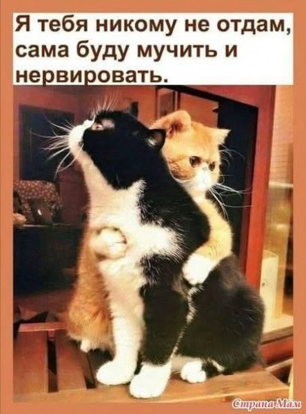 FB IMG 1772742812798