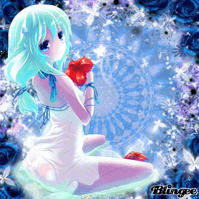 file_81728258