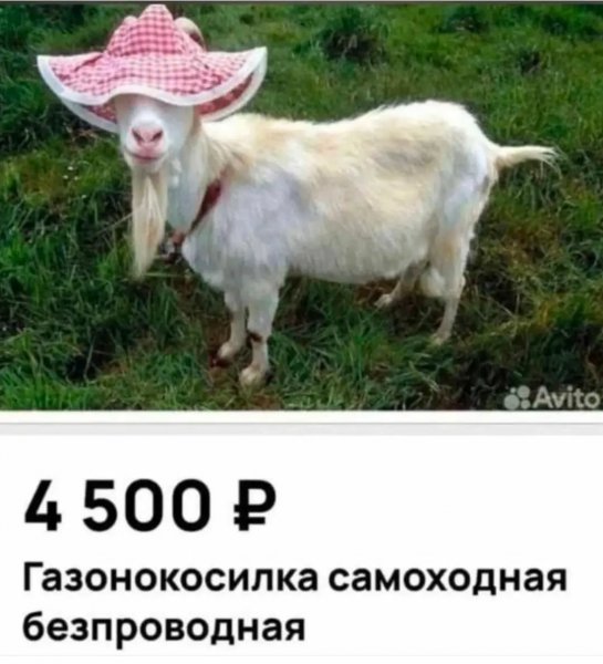 Madam plus 15a4fa3f6a6e4cb298798bd2e2759098