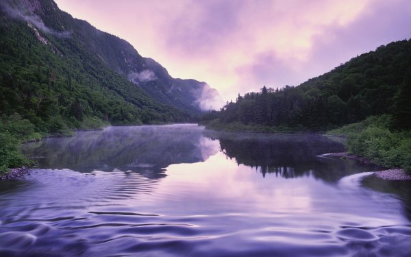 Purple World 5