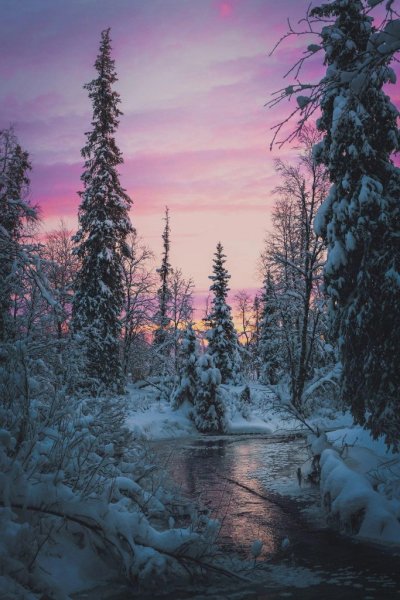 file_97979573