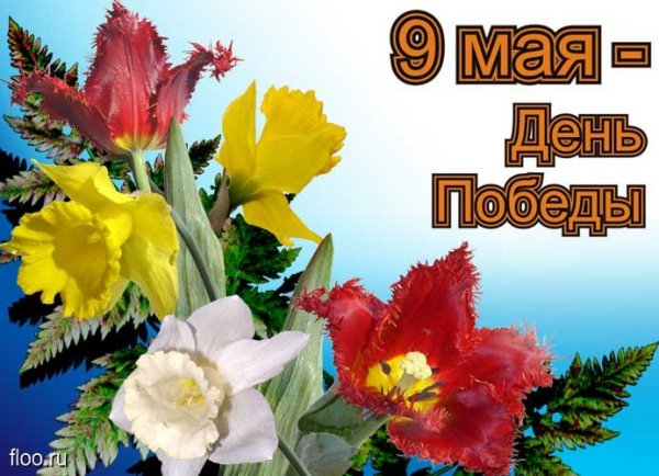 9 мая