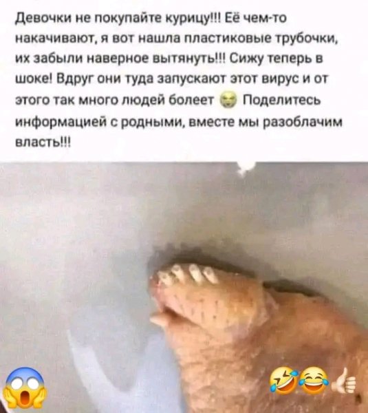 file_102889882