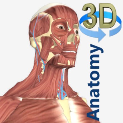 3D Anatomy 3.5.0 (armeabi-v7a)