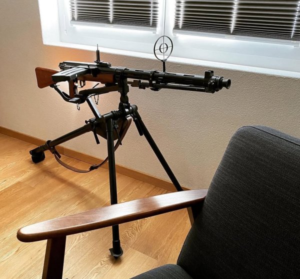 LMG 25