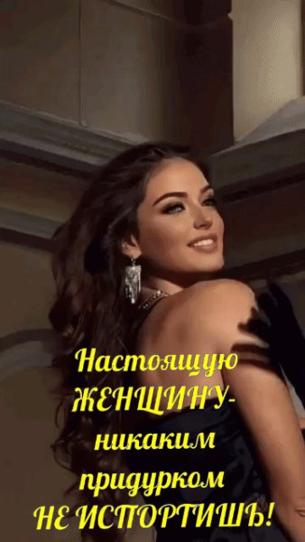 IMG 20231013 041732