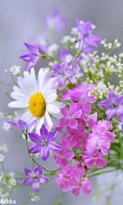file_51987627