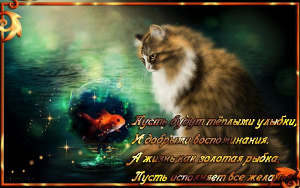 Пусть жизнь как золотая рыбка