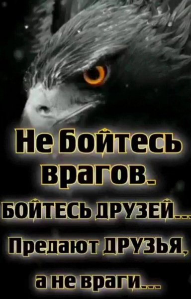 IMG 20241217 063411