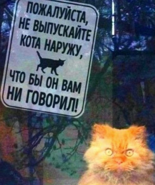 file_100753365