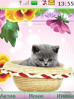 Котенок