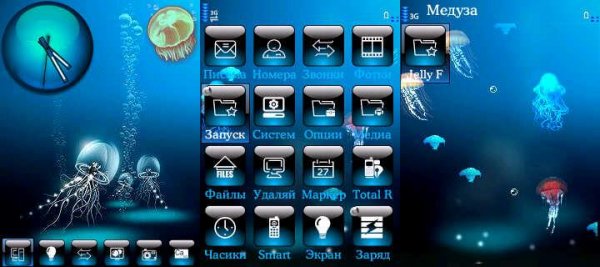 Jellyfish