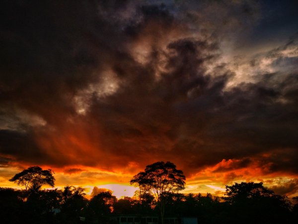 Red Sunset