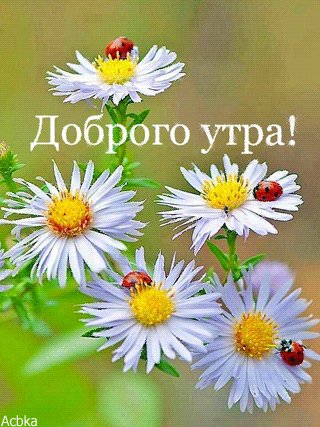 file_76415465
