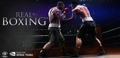 Real Boxing