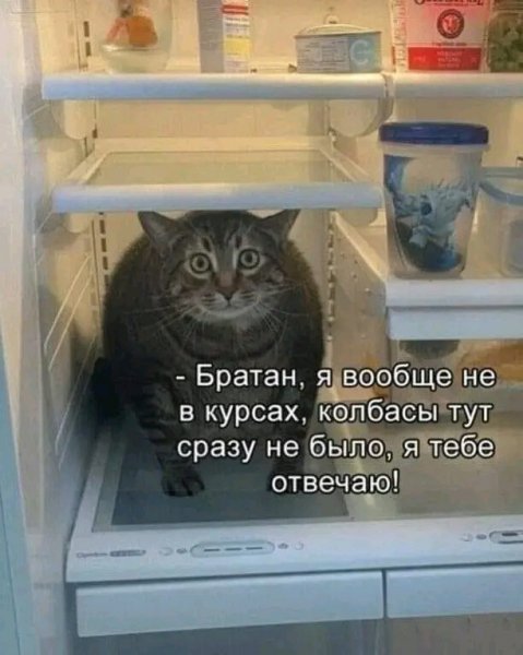 file_103231841