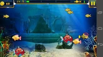 Hungry-Shark-2 1.0.0