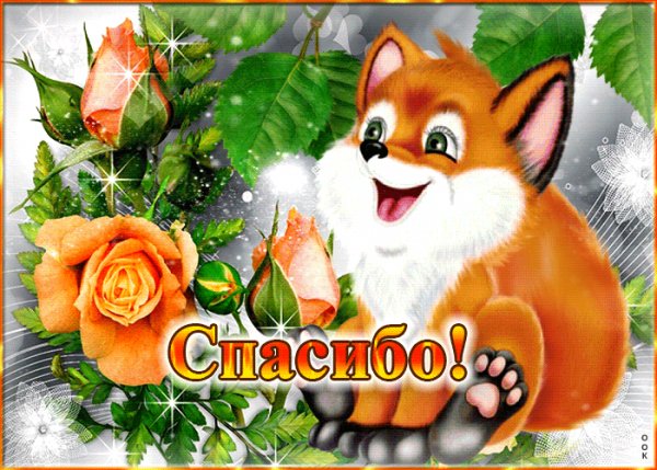 Спасибо!
