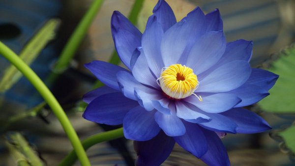 file_83580074