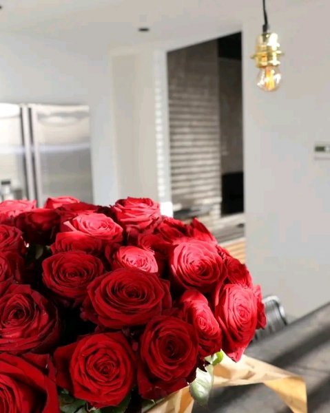 file_96170066