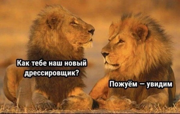 file_101479099