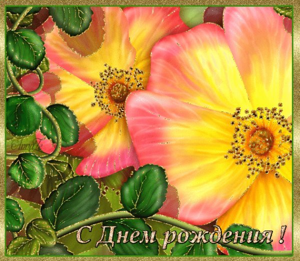 С Днем Рождения