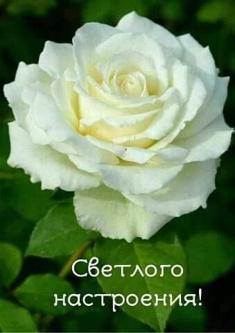 Светлого настроения