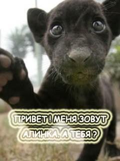 ALINKA