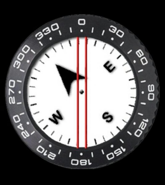 Compass v1.0.8 RUS