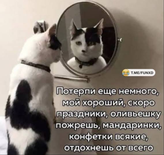 IMG 20260101 143917 316