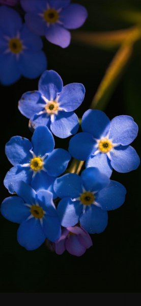 file_95184165