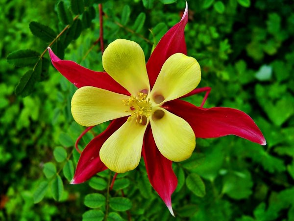 file_89896618