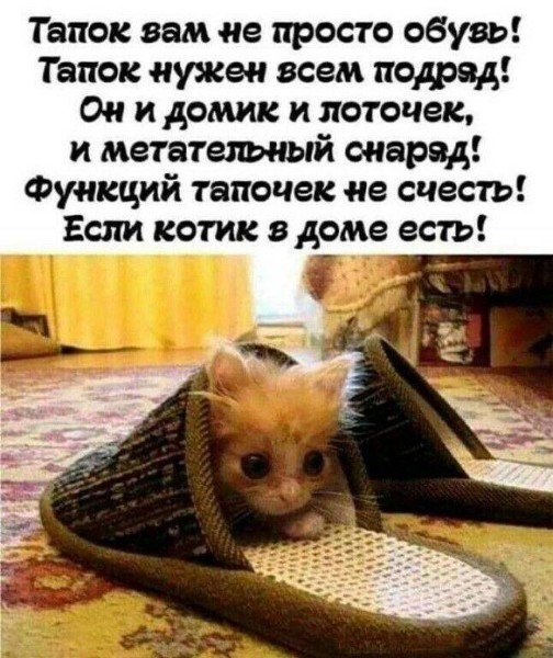 file_94790781