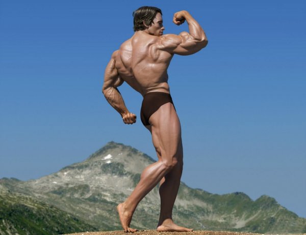 Arnold Schwarzenegger