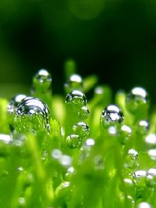 Waterdrops