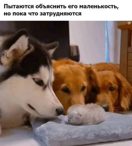 file_100066618