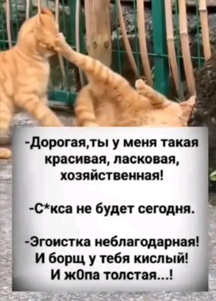 file_102904588
