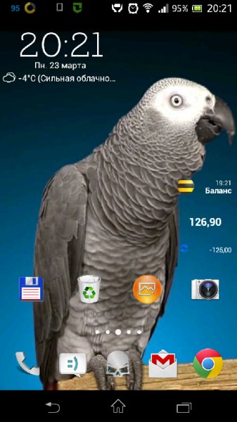 Grey.Parrot.Live.Wallpaper.v.1.0.b.1.crk