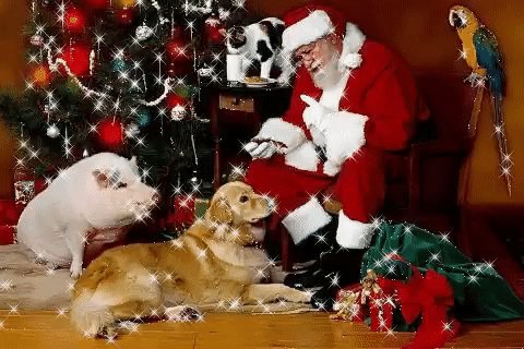 gif 1476532169