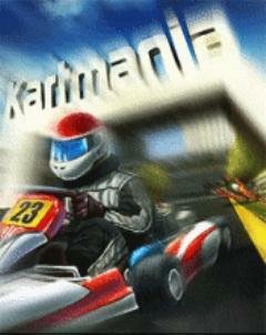 kartmania 3D SE 176x220