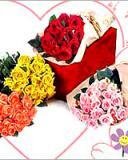 file_85268897