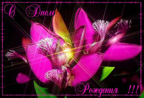 С Днём Рождения!